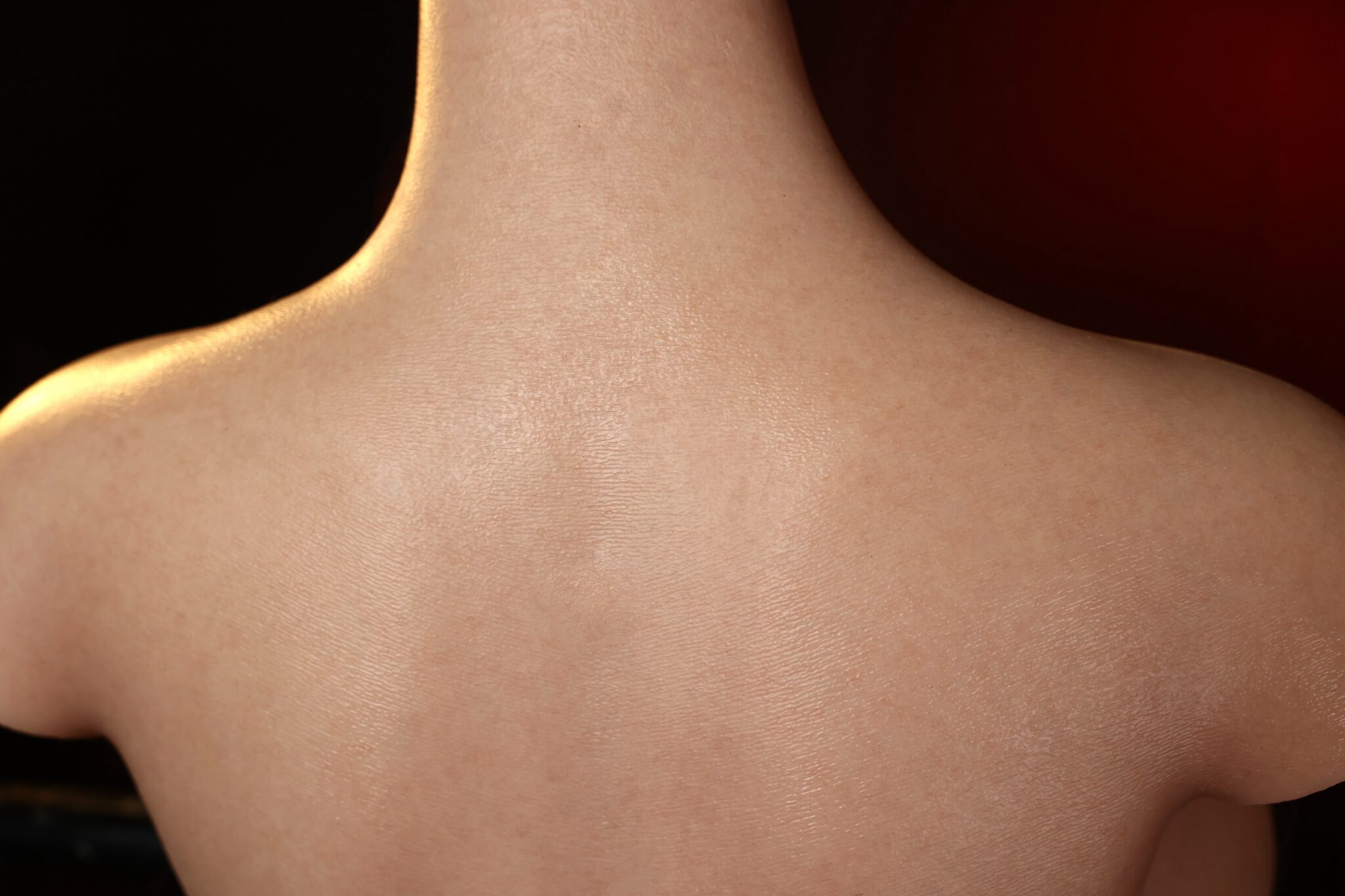 Silicone doll shoulder and back close-up, realistic skin texture, high detail, adult product image.